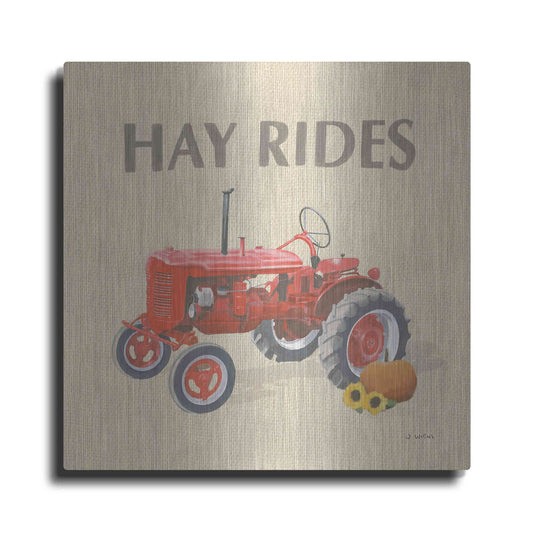 Luxe Metal Art 'Heartland Harvest Moments V' by James Wiens, Metal Wall Art