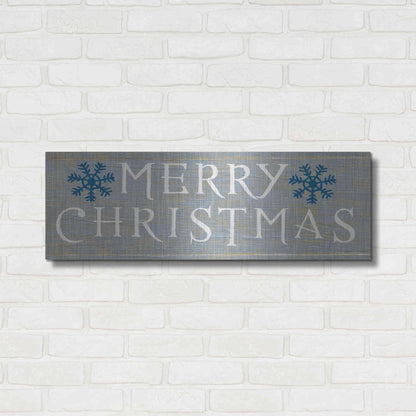 Luxe Metal Art 'Christmas Affinity III Grey' by James Wiens, Metal Wall Art,36x12