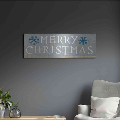 Luxe Metal Art 'Christmas Affinity III Grey' by James Wiens, Metal Wall Art,36x12