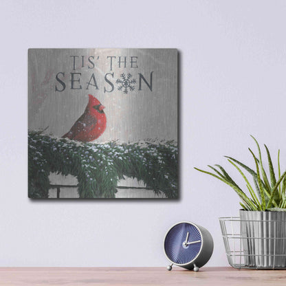 Luxe Metal Art 'Christmas Affinity X' by James Wiens, Metal Wall Art,12x12