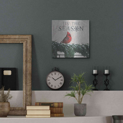 Luxe Metal Art 'Christmas Affinity X' by James Wiens, Metal Wall Art,12x12