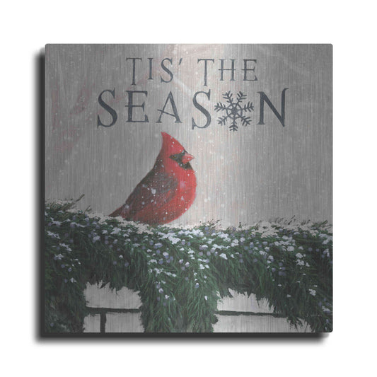 Luxe Metal Art 'Christmas Affinity X' by James Wiens, Metal Wall Art