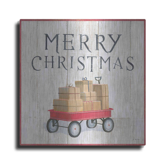 Luxe Metal Art 'Christmas Affinity XII' by James Wiens, Metal Wall Art