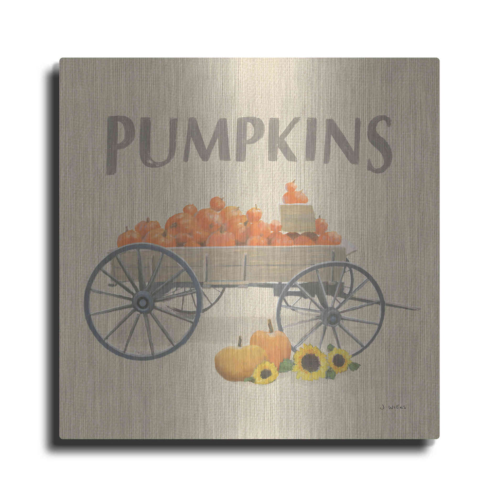 Luxe Metal Art 'Heartland Harvest Moments IV' by James Wiens, Metal Wall Art