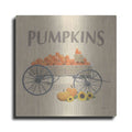 Luxe Metal Art 'Heartland Harvest Moments IV' by James Wiens, Metal Wall Art