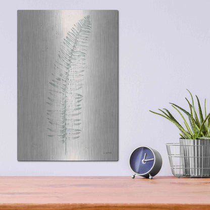 Luxe Metal Art 'Soft Summer Sketches I' by James Wiens, Metal Wall Art,12x16