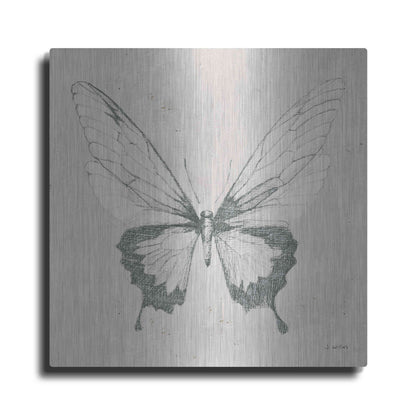 Luxe Metal Art 'Soft Summer Sketches V' by James Wiens, Metal Wall Art
