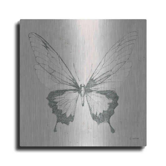 Luxe Metal Art 'Soft Summer Sketches V' by James Wiens, Metal Wall Art