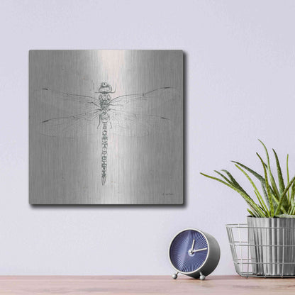 Luxe Metal Art 'Soft Summer Sketches VI' by James Wiens, Metal Wall Art,12x12