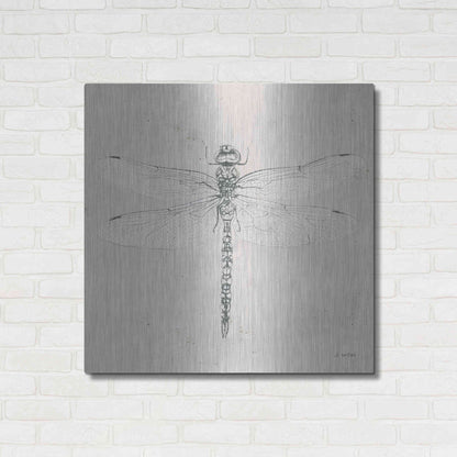 Luxe Metal Art 'Soft Summer Sketches VI' by James Wiens, Metal Wall Art,36x36