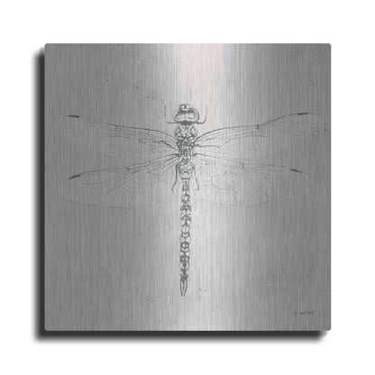 Luxe Metal Art 'Soft Summer Sketches VI' by James Wiens, Metal Wall Art