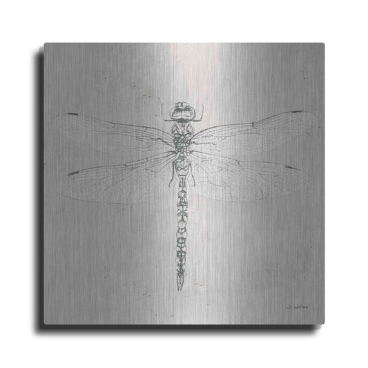 Luxe Metal Art 'Soft Summer Sketches VI' by James Wiens, Metal Wall Art