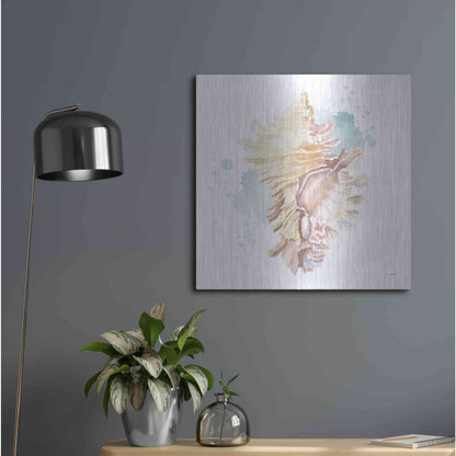 Luxe Metal Art 'Salento Coast IV' by James Wiens, Metal Wall Art,24x24