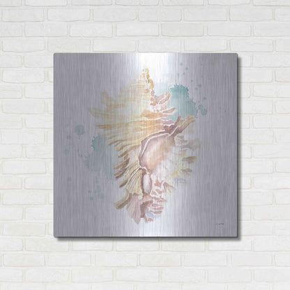 Luxe Metal Art 'Salento Coast IV' by James Wiens, Metal Wall Art,36x36