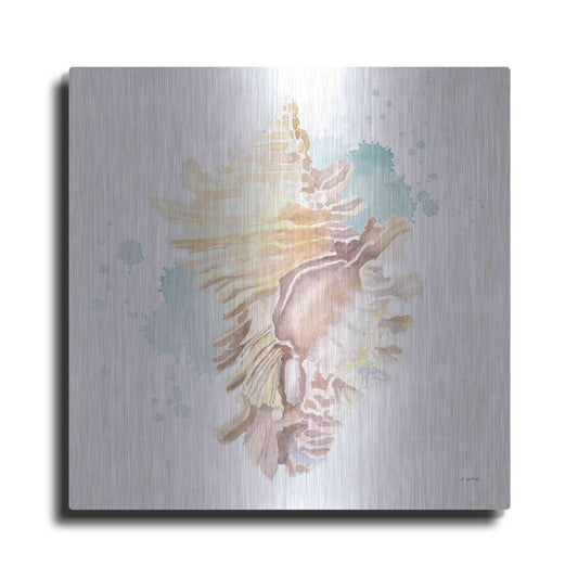 Luxe Metal Art 'Salento Coast IV' by James Wiens, Metal Wall Art