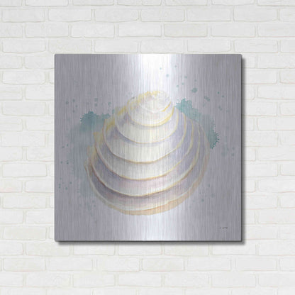 Luxe Metal Art 'Salento Coast VI' by James Wiens, Metal Wall Art,36x36