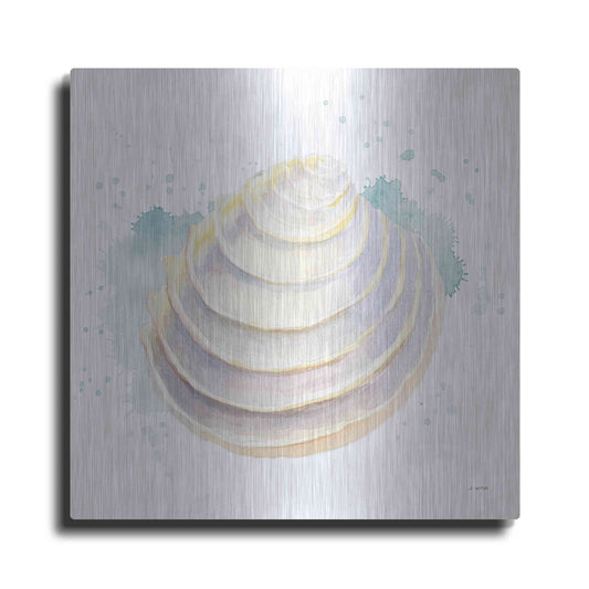 Luxe Metal Art 'Salento Coast VI' by James Wiens, Metal Wall Art
