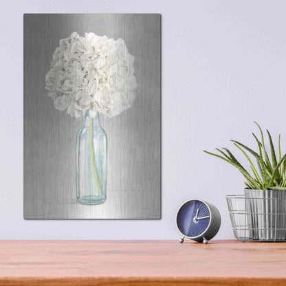 Luxe Metal Art 'Tranquil Blossoms II' by James Wiens, Metal Wall Art,12x16