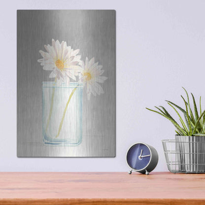 Luxe Metal Art 'Tranquil Blossoms IV' by James Wiens, Metal Wall Art,12x16