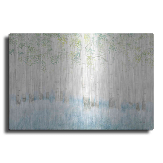 Luxe Metal Art 'Soft Birches' by James Wiens, Metal Wall Art