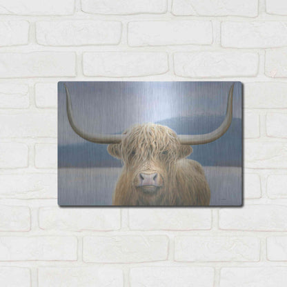 Luxe Metal Art 'Highland Cow' by James Wiens, Metal Wall Art,16x12