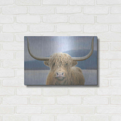 Luxe Metal Art 'Highland Cow' by James Wiens, Metal Wall Art,24x16