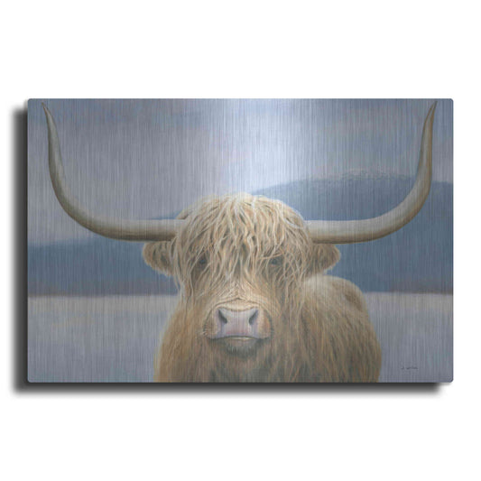 Luxe Metal Art 'Highland Cow' by James Wiens, Metal Wall Art