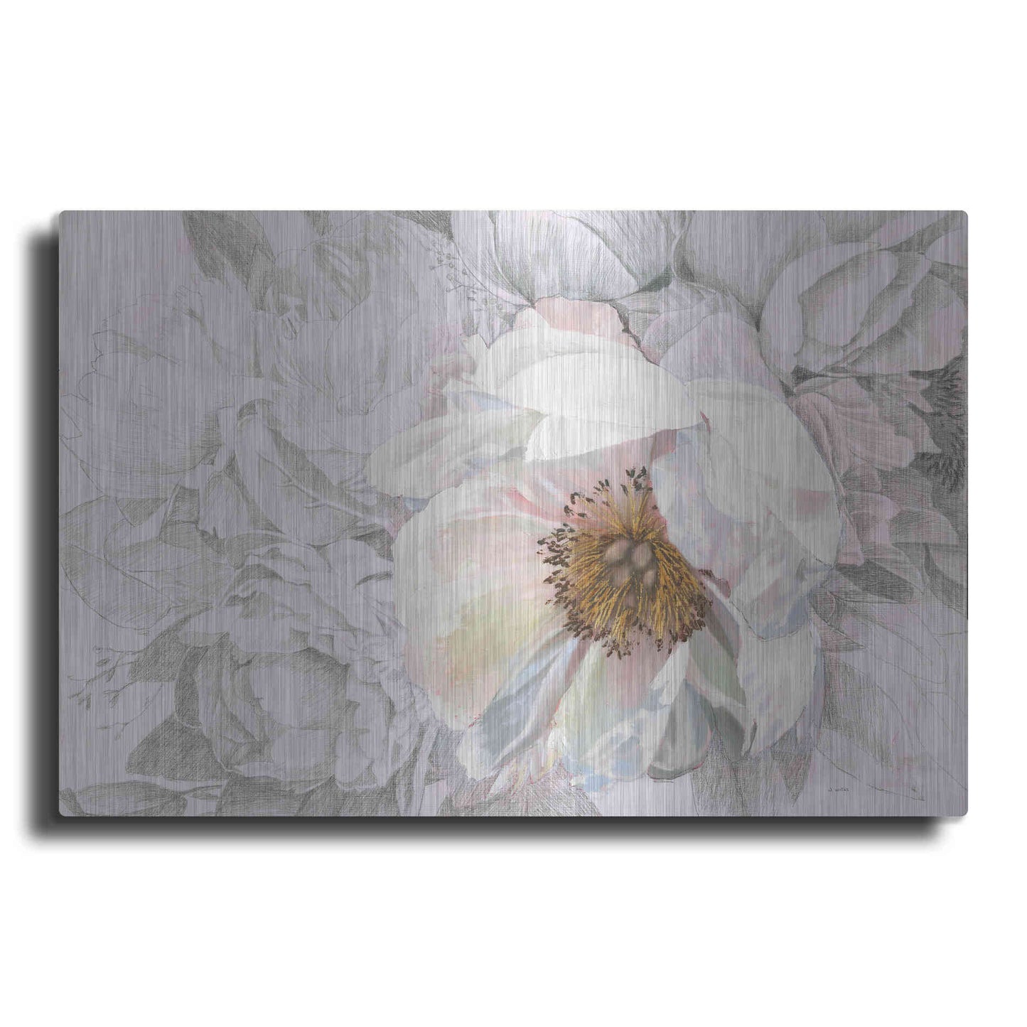 Luxe Metal Art 'Blooming Sketch' by James Wiens, Metal Wall Art