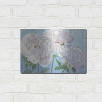 Luxe Metal Art 'Essence of June I' by James Wiens, Metal Wall Art,16x12