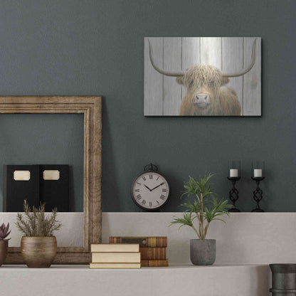 Luxe Metal Art 'Highland Cow Shiplap' by James Wiens, Metal Wall Art,16x12