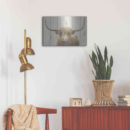 Luxe Metal Art 'Highland Cow Shiplap' by James Wiens, Metal Wall Art,24x16