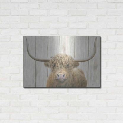 Luxe Metal Art 'Highland Cow Shiplap' by James Wiens, Metal Wall Art,36x24
