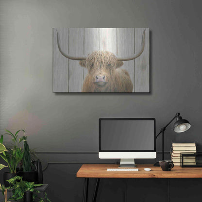 Luxe Metal Art 'Highland Cow Shiplap' by James Wiens, Metal Wall Art,36x24