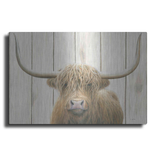 Luxe Metal Art 'Highland Cow Shiplap' by James Wiens, Metal Wall Art