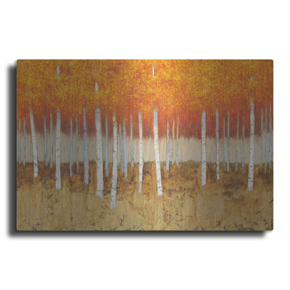Luxe Metal Art 'Autumn Birches' by James Wiens, Metal Wall Art