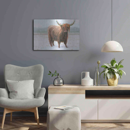 Luxe Metal Art 'King of the Highland Fields Lights' by James Wiens, Metal Wall Art,24x16