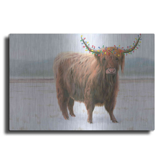 Luxe Metal Art 'King of the Highland Fields Lights' by James Wiens, Metal Wall Art