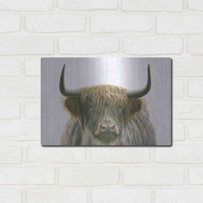 Luxe Metal Art 'Highlander' by James Wiens, Metal Wall Art,16x12