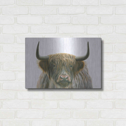 Luxe Metal Art 'Highlander' by James Wiens, Metal Wall Art,24x16