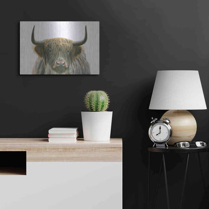 Luxe Metal Art 'Highlander' by James Wiens, Metal Wall Art,24x16