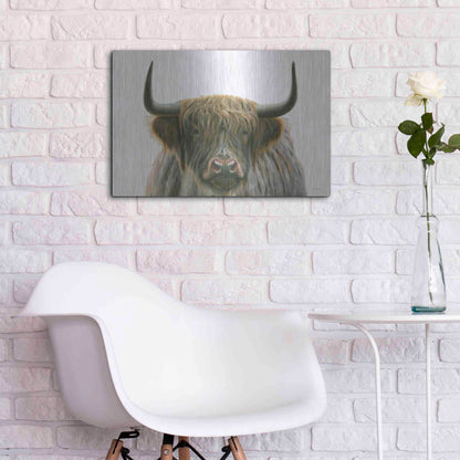 Luxe Metal Art 'Highlander' by James Wiens, Metal Wall Art,24x16