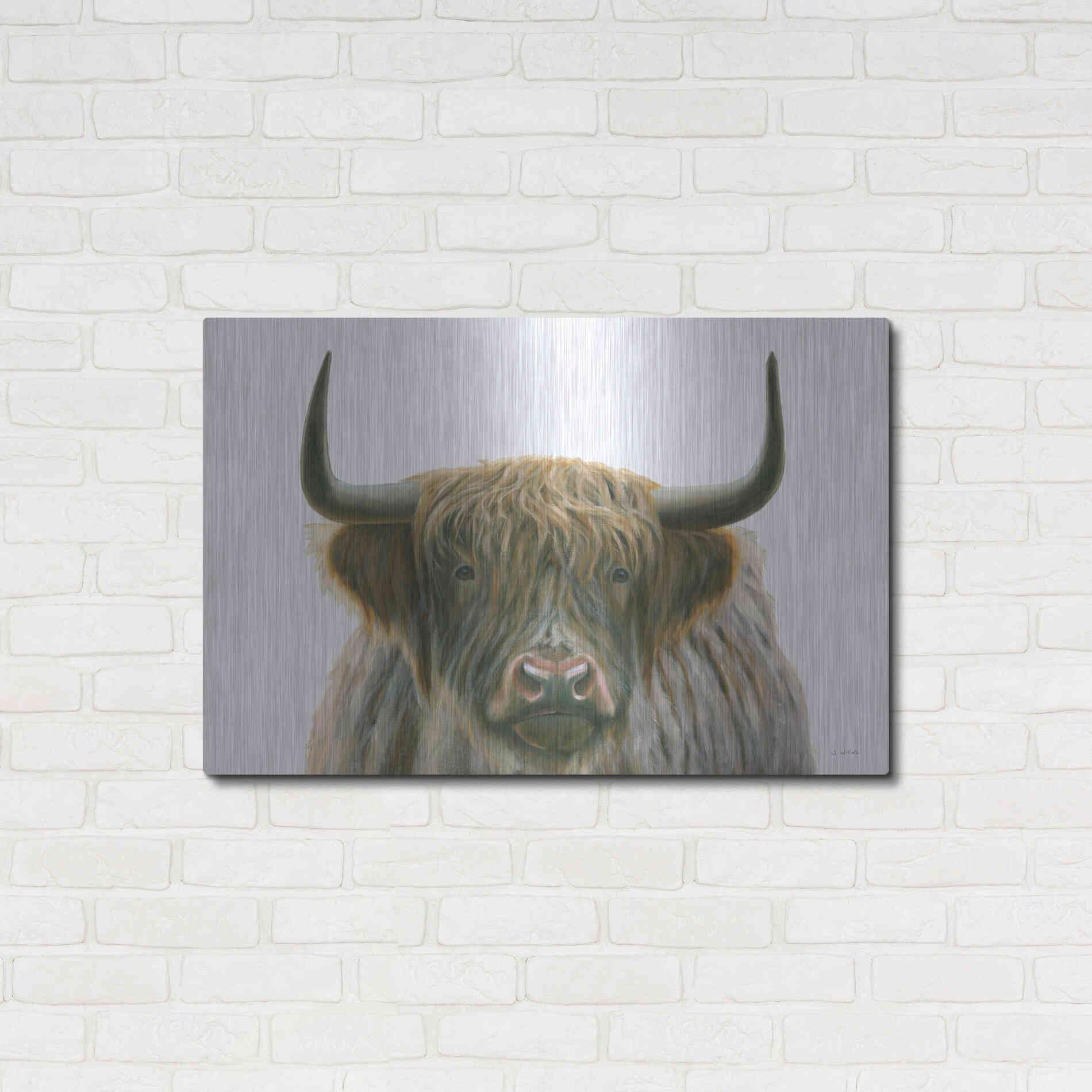 Luxe Metal Art 'Highlander' by James Wiens, Metal Wall Art,36x24