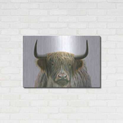 Luxe Metal Art 'Highlander' by James Wiens, Metal Wall Art,36x24
