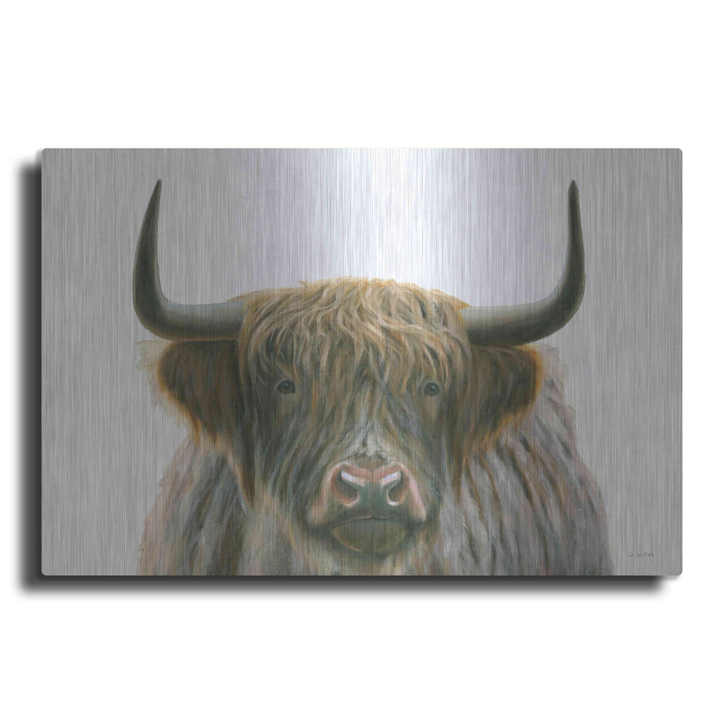 Luxe Metal Art 'Highlander' by James Wiens, Metal Wall Art