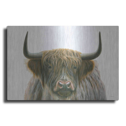 Luxe Metal Art 'Highlander' by James Wiens, Metal Wall Art