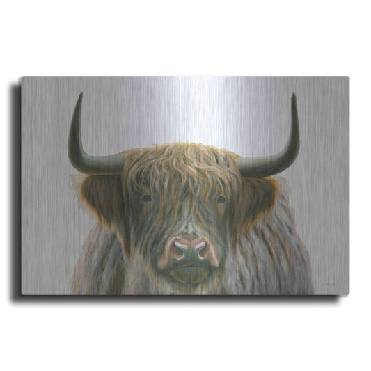 Luxe Metal Art 'Highlander' by James Wiens, Metal Wall Art