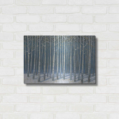 Luxe Metal Art 'Shimmering Birches' by James Wiens, Metal Wall Art,24x16