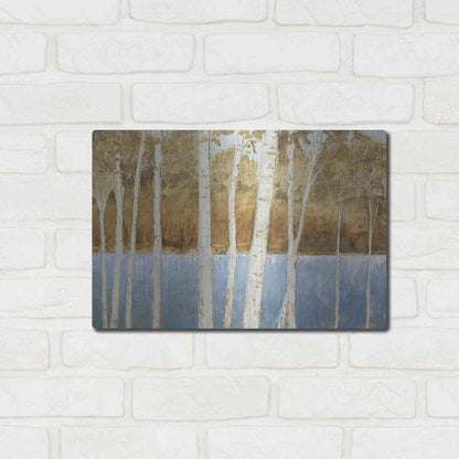 Luxe Metal Art 'Lakeside Birches' by James Wiens, Metal Wall Art,16x12
