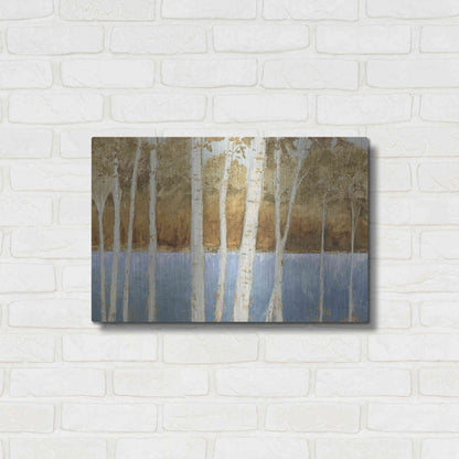 Luxe Metal Art 'Lakeside Birches' by James Wiens, Metal Wall Art,24x16