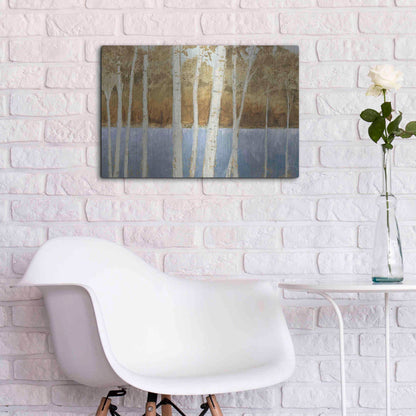 Luxe Metal Art 'Lakeside Birches' by James Wiens, Metal Wall Art,24x16